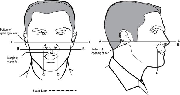 Figure 3-1 from AR 670-1: Male grooming standards