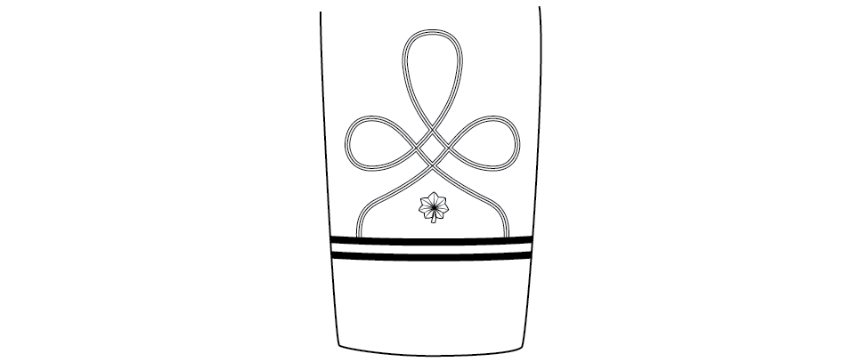 Figure 16-10 from DA PAM 670-1: Sleeve ornamentation, blue and white mess, warrant officer