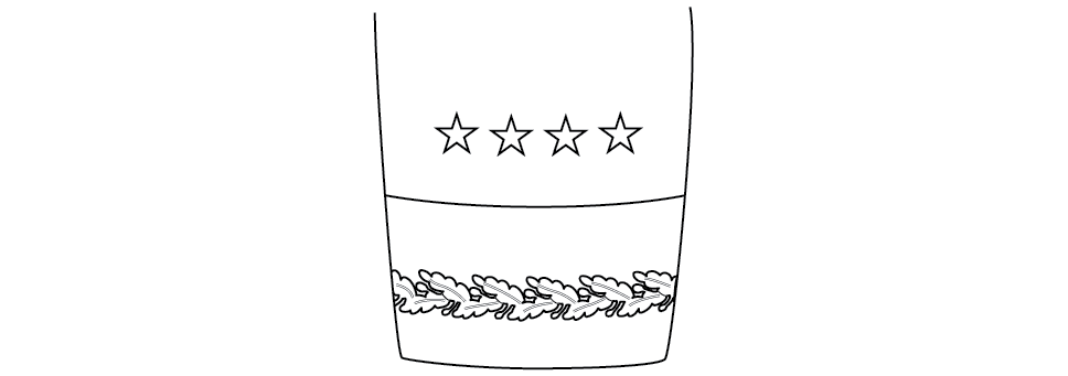 Figure 16-5 from DA PAM 670-1: Sleeve ornamentation, blue mess, general