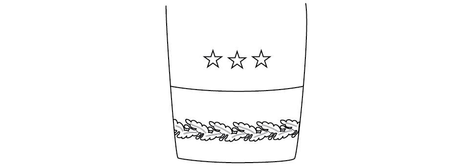 Figure 16-6 from DA PAM 670-1: Sleeve ornamentation, blue mess, lieutenant general