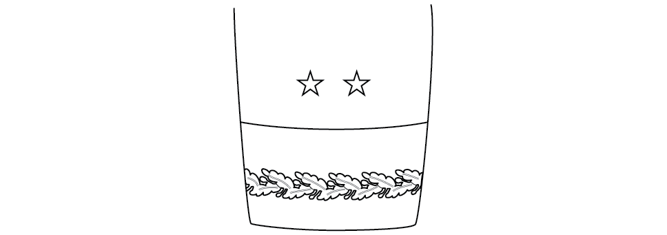 Figure 16-7 from DA PAM 670-1: Sleeve ornamentation, blue mess, major general