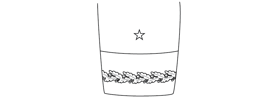 Figure 16-8 from DA PAM 670-1: Sleeve ornamentation, blue mess, brigadier general