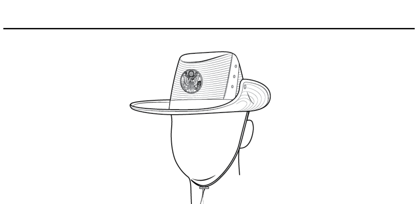 Figure 20-10 from DA PAM 670-1: Hat, drill sergeant, female