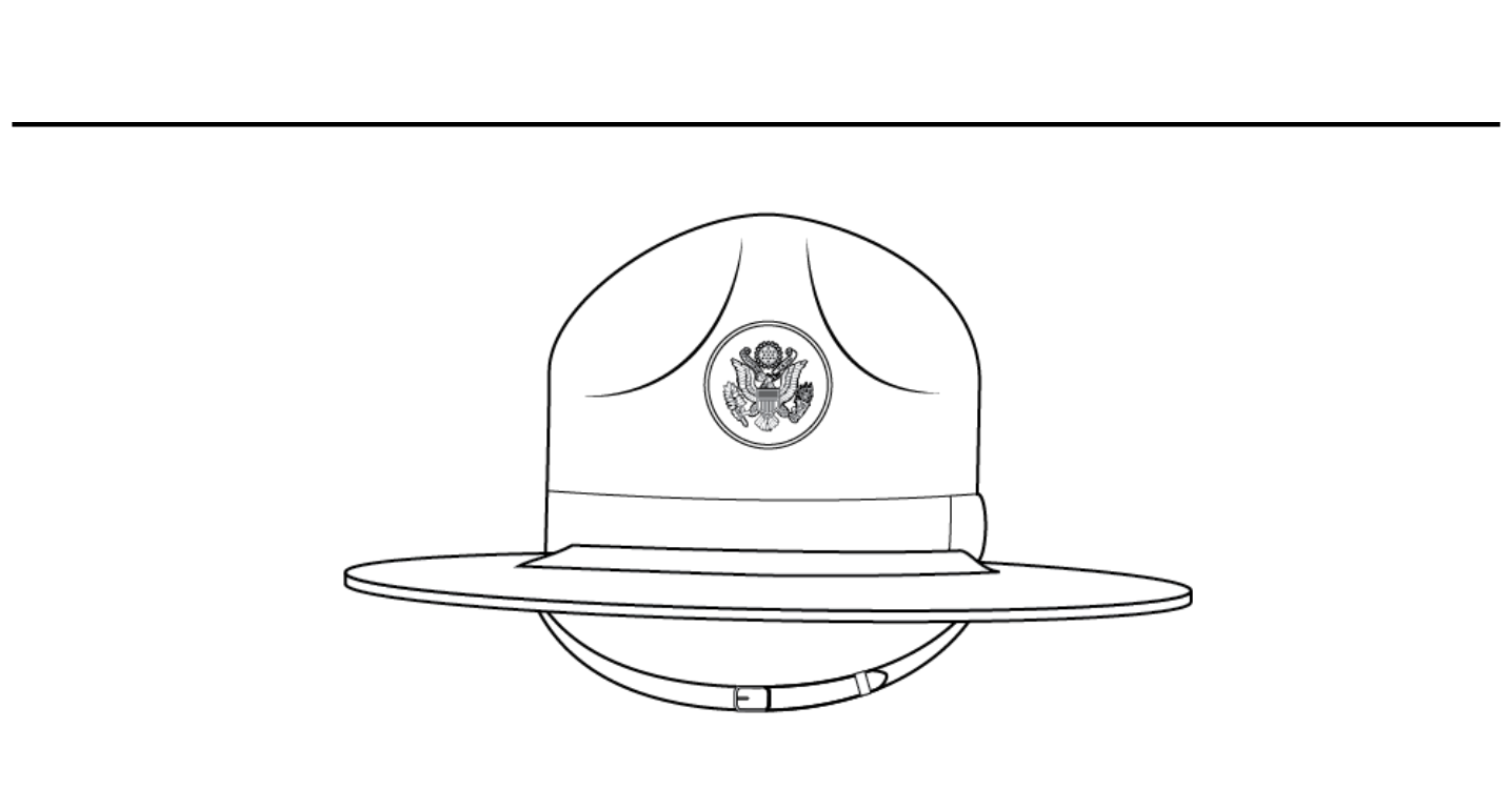 Figure 20-11 from DA PAM 670-1: Hat, drill sergeant, male