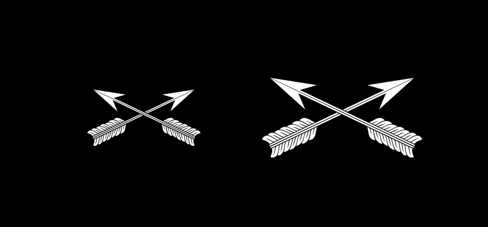 Figure 21-101 from DA PAM 670-1: Insignia of branch, Special Forces