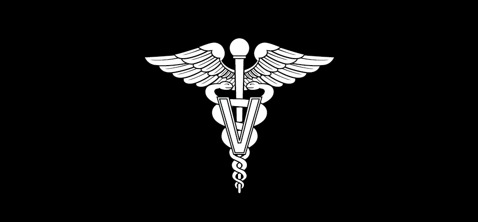 Figure 21-105 from DA PAM 670-1: Insignia of branch, Veterinary Corps, officer