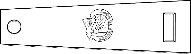 Figure 21-138 from DA PAM 670-1: Wearing distinctive unit insignia on shoulder loops