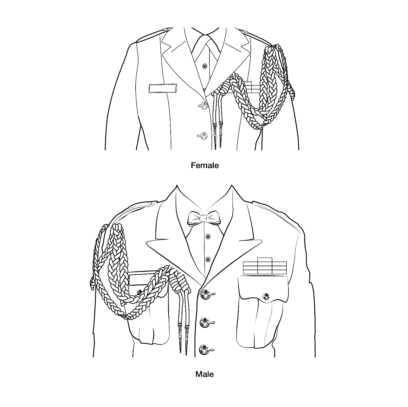 Figure 21-146 from DA PAM 670-1: Wearing dress aiguillettes