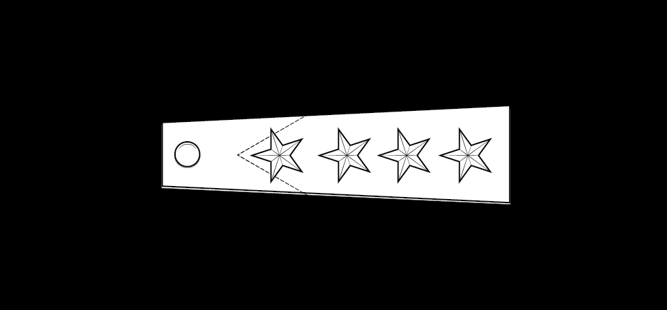 Figure 21-27 from DA PAM 670-1: Insignia of grade, brigadier general
