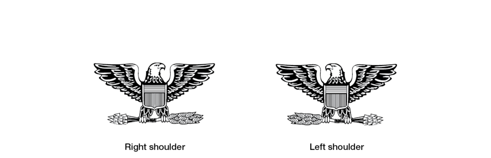 Figure 21-30 from DA PAM 670-1: Insignia of grade, colonel