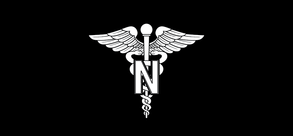Figure 21-69 from DA PAM 670-1: Insignia of branch, Army Nurse Corps, officer
