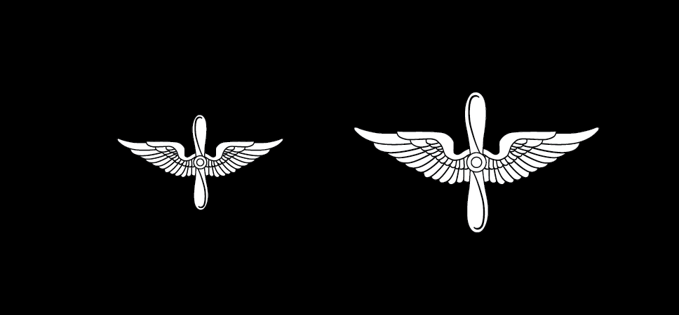 Figure 21-70 from DA PAM 670-1: Insignia of branch, Aviation