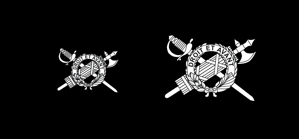Figure 21-86 from DA PAM 670-1: Insignia of branch, Inspector General Corps