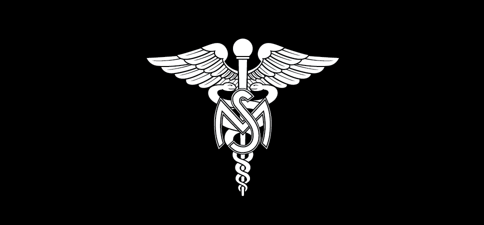 Figure 21-90 from DA PAM 670-1: Insignia of branch, Medical Service Corps, officer
