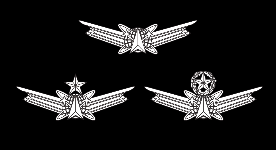 Figure 22-53 from DA PAM 670-1: Space badges