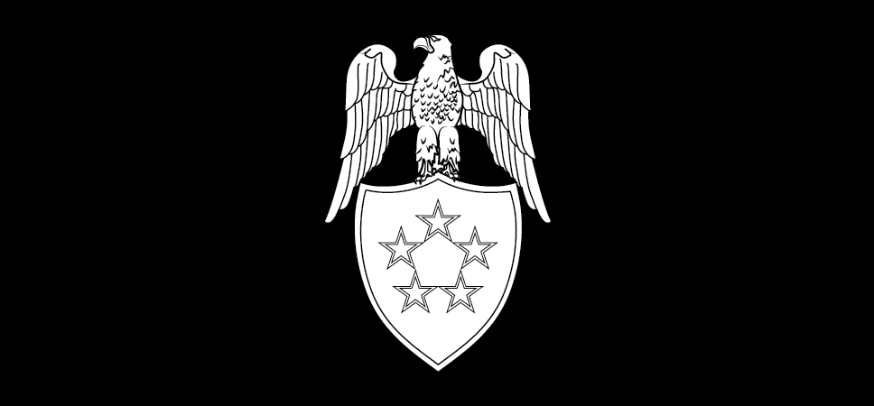 Insignia for aides to the Chief of the National Guard Bureau