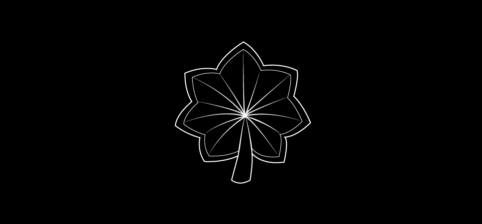 Insignia of grade, major (gold)