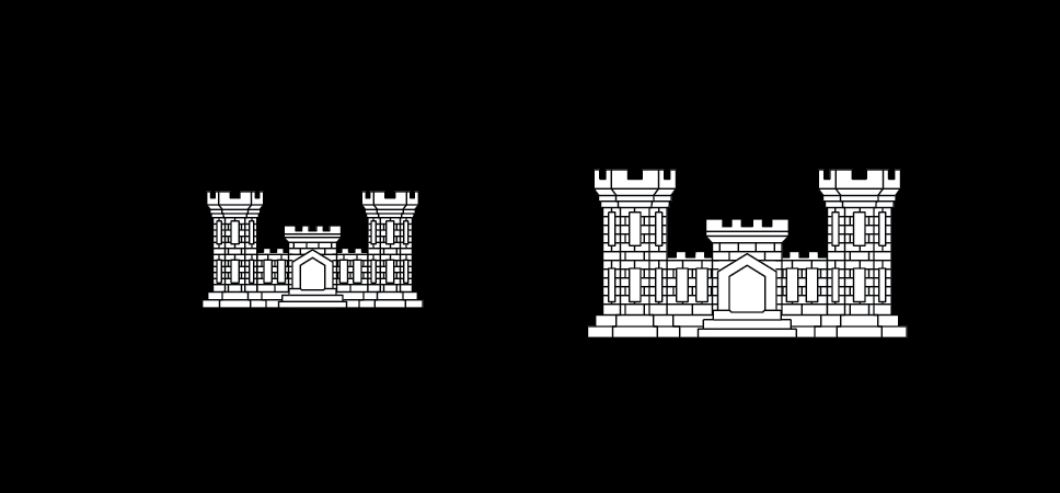 Insignia of branch, Cyber