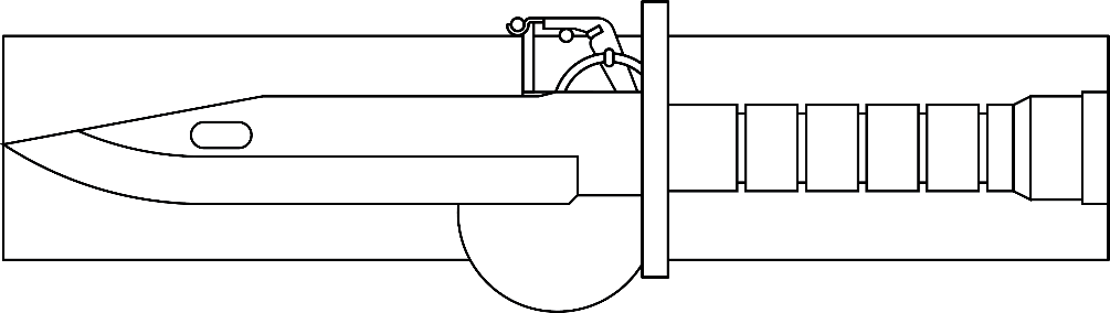 Expert field medical badge