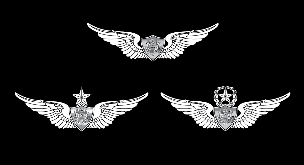 Flight surgeon badges