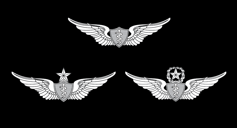 Aviation badges