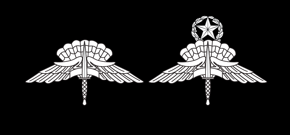 Military freefall parachutist badges
