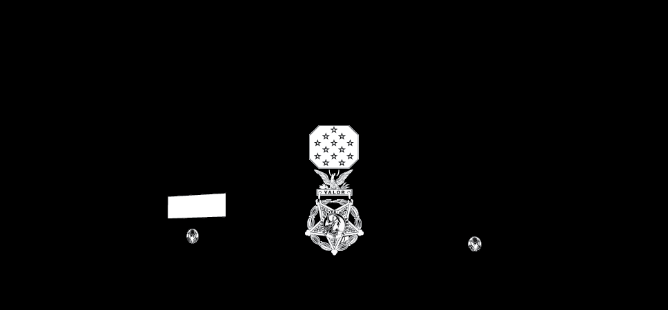 Wearing the Medal of Honor